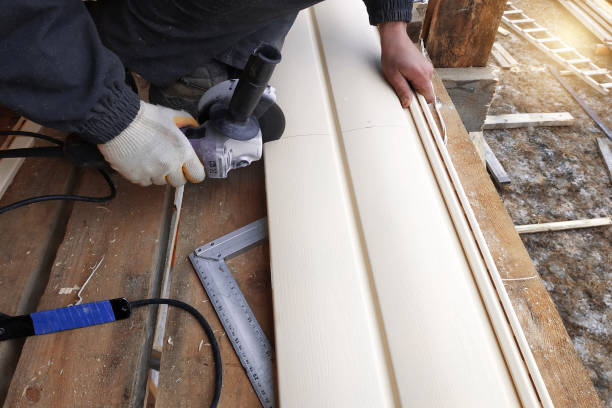 Best Engineered Wood Siding  in Darien, GA