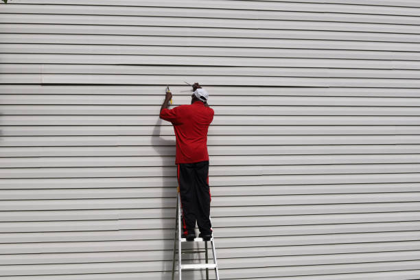 Best Aluminum Siding Installation  in Darien, GA