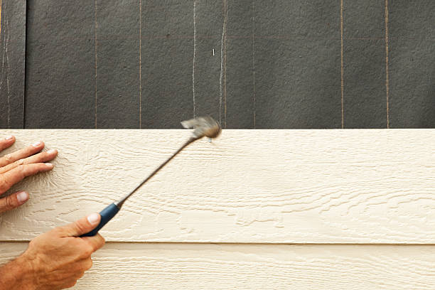 Best Siding for New Construction  in Darien, GA